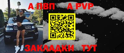 бошки Кингисепп