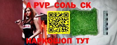 бошки Кингисепп