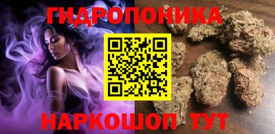 бошки Кингисепп