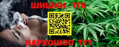 бошки Кингисепп