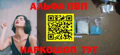 бошки Кингисепп