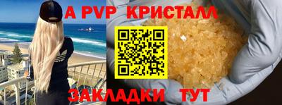 бошки Кингисепп